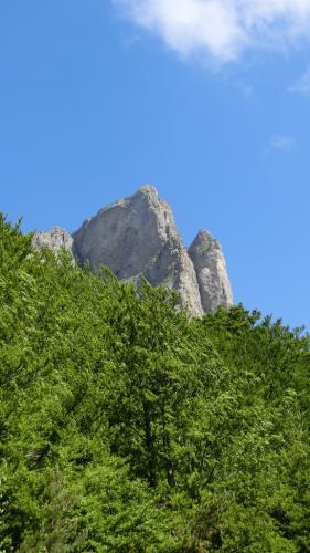 CIMG3646